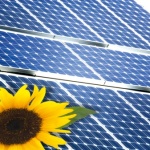 solar flower