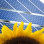 solar flower 2