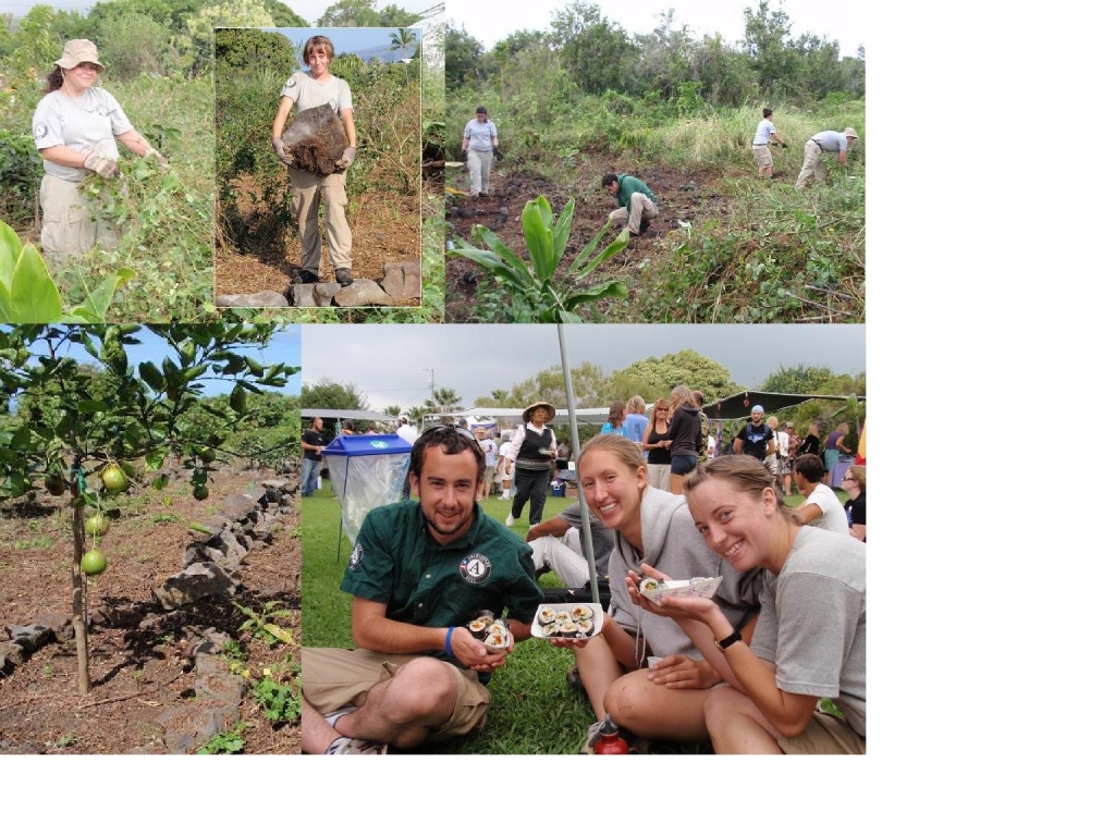 nccc-collage1