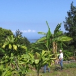 pchurchview