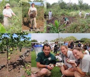 One Island's NCCC Volunteers