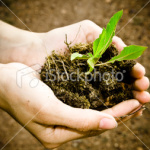 ist2_9085223-in-good-hands