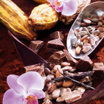 cacaoorchid