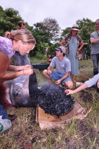 biochar-done-sm