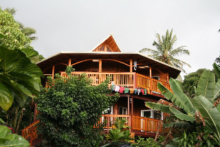 Bamboo Living House