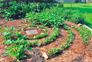 a_medicine_wheel_garden