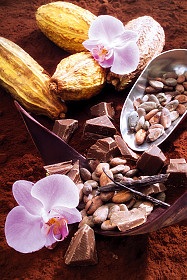 cacaoorchid