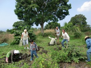 volunteers 25