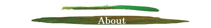 about 3