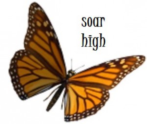 monarch high