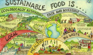 sustainable-food-640x380